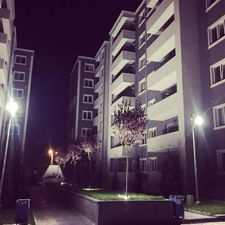 Studio Dedal Residence Năvodari Eksteriør billede