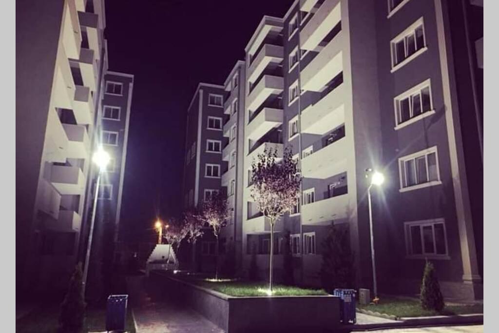 Studio Dedal Residence Năvodari Eksteriør billede