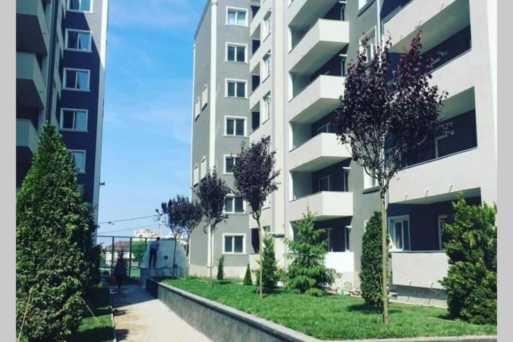 Studio Dedal Residence Năvodari Eksteriør billede